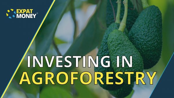 Investing in Agroforestry for Residency